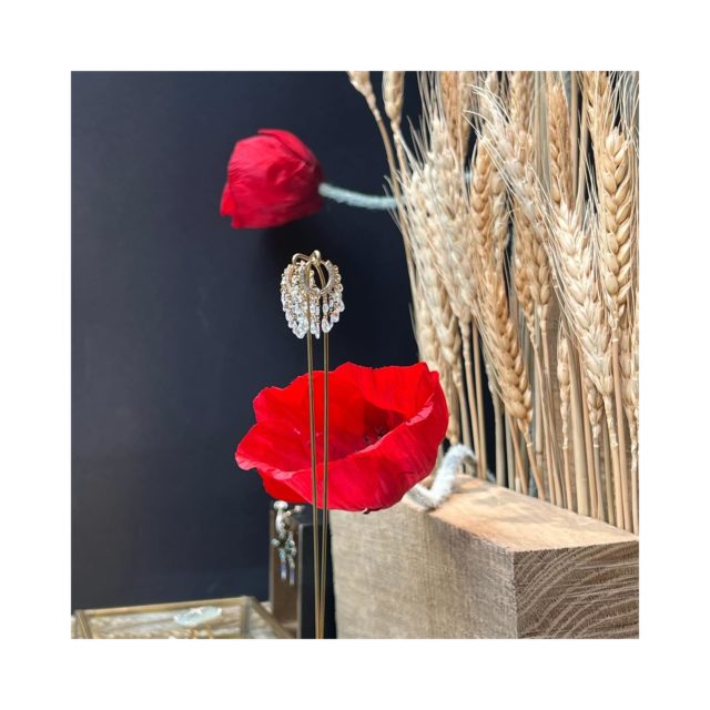 • MAI •

Les coquelicots pour la fête des mamans et pour le printemps!

#reveriesdeve #bijoux #geneve #joailleriegeneve #bijouxuniques #creatricesuisse #boutiqueatelier #orrecyclé